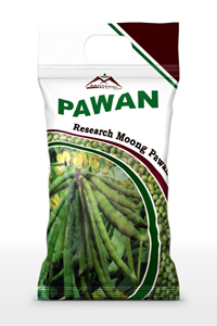 Pawan Bag